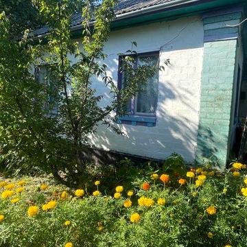 Хата (дача), Чернігівська обл, село Мостище