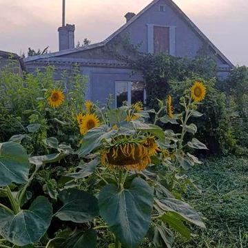 Продам будинок на Вишневій, можливо під виплату