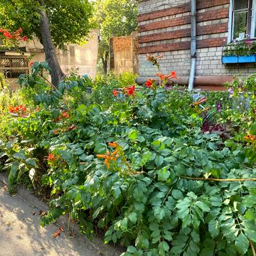 Дніпробудівська вул., 31