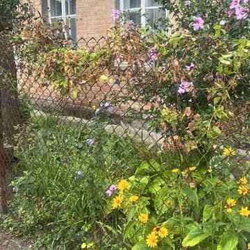 Здам 2кімн будинок на Шкільному м-районі