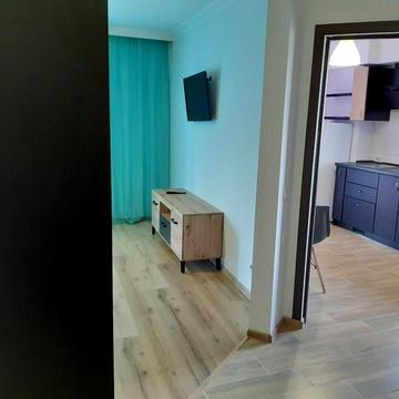 Здається 1 кімнатна квартира в центральній частині