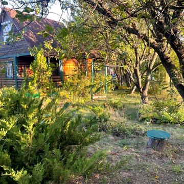 Краєвид і тиша. Дача, Сруб, Нові Безрадичі, СТ Рябіна