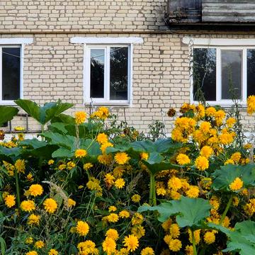 2-х кімнатна квартира ВЛАСНИК смт. Клесів,  Рівненська область