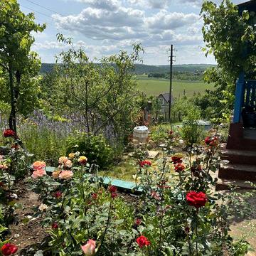 Продам дачні ділянки над річкою Збруч