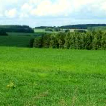Воропаївка, Вишгородський, Київська область 55000.0 USD