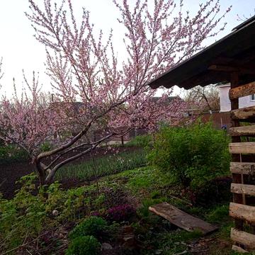 Продам  3х комнатную квартиру в 2х квартирном доме