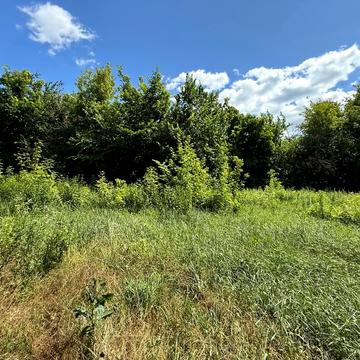Аеропорт Антонов, Гостомель, Бучанський, Київська область 14500.0 USD