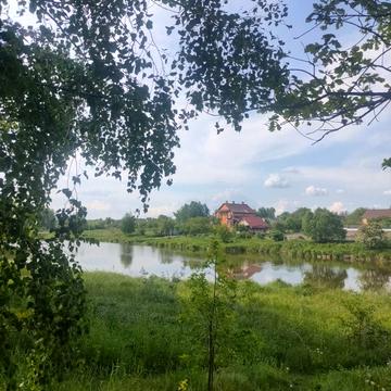 Пушкіна