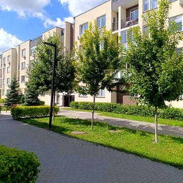 Березова вул., 44