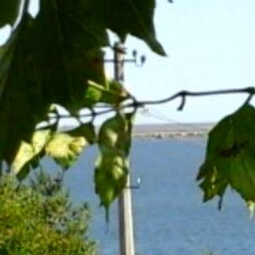 дом в кооперативе Надія, Тилигульский лиман, Любополь