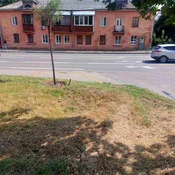 3 кімн. квартира , 1 поверх під бізнес або житло