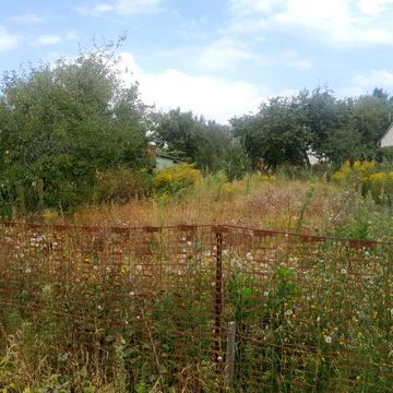 Продам дачу в селі Киселівка