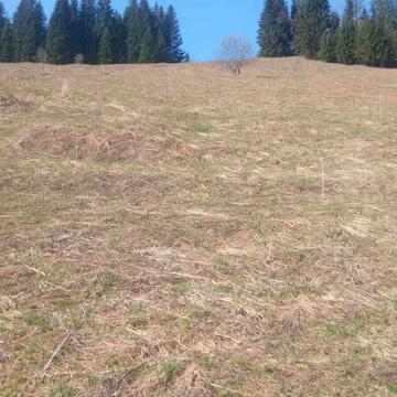 Верховина, Верховинський, Івано-Франківська область 900.0 USD