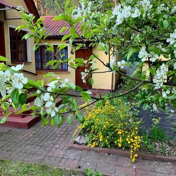 Дача СТ"Енергобудівник р.Стугна м.Українка від власника.