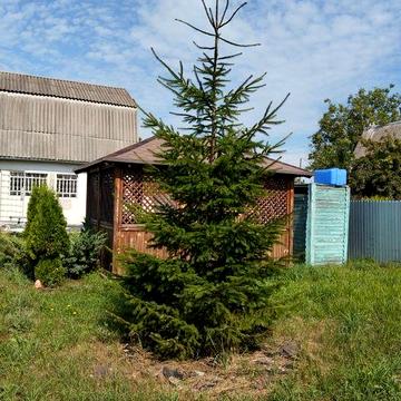 Дача в Чапліївці.Біла Церква. 5 хвилин від жд.станції