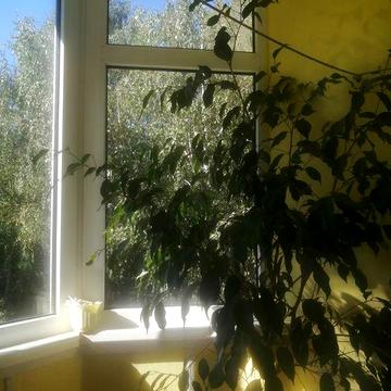 Продаж 1 кімнатної квартири, АО