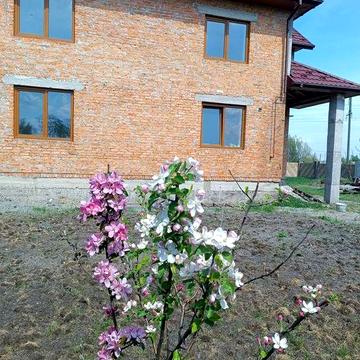 Продам будинок в смт Гірник