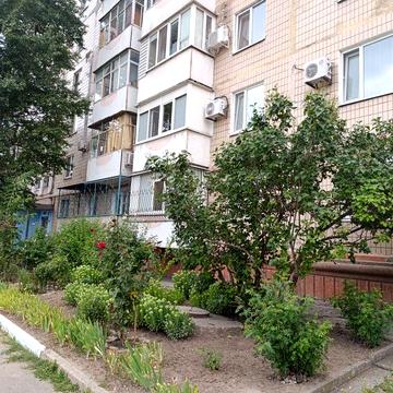1-комн. квартира на Бородинском! ул. Проф. Толока!