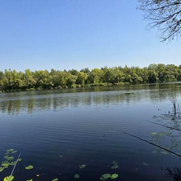 зеленая