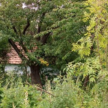 Вовчищовичі, Яворівський, Львівська область 11500.0 USD