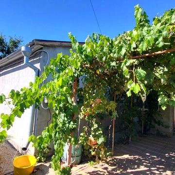 Продаю будинок в Миколаївському районі.