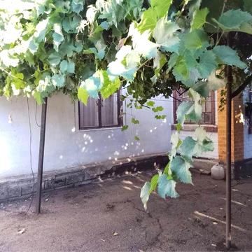 Продам будинок богопіль