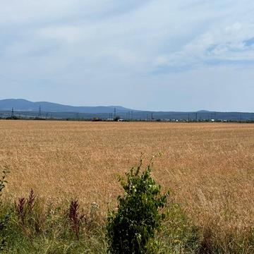 Концівська вул.