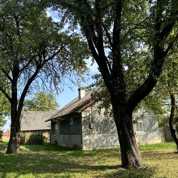 Продаж будинку з ділянкою у селі Пійло