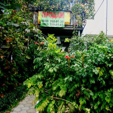 Панаса Саксаганського вул. (Дунаєва), 34