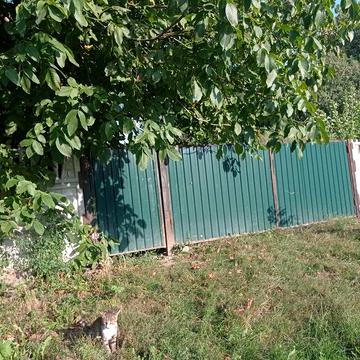 Продам будинок з присадибною ділянкою в м. Іллінці, Вінницької області