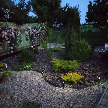 Дача Левшинський залив