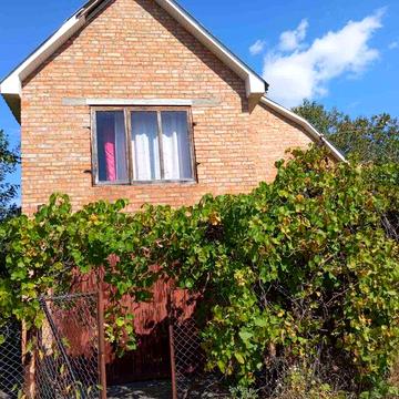 (3) Продам дачний будинок в с. Юзвин (Некрасово) 2741