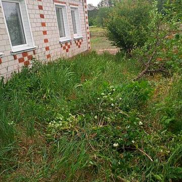 Продається будинок в мальовничому місці на Чернігівщині