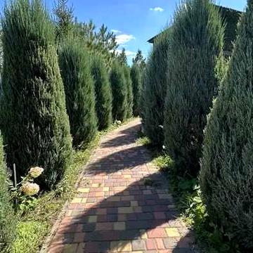 продам дом/дачу в Новосёловке с шикарным участком