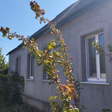 Продам дом Новая Водолага