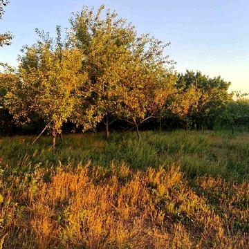 Продам дом в Ульяновке.Заходи и живи.