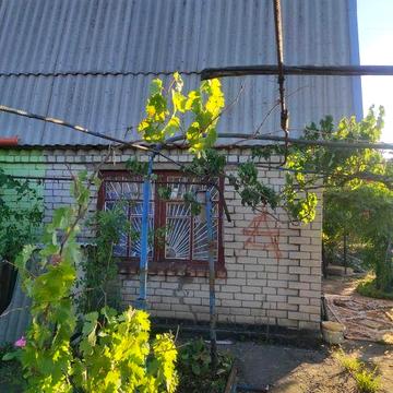 Продаю дачу на Батуринській