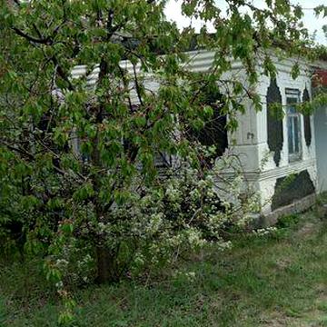 Будинок з присадибною ділянкою