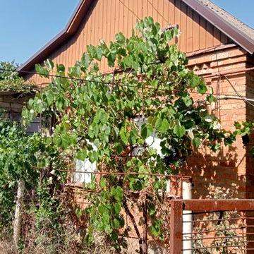 Продаж 2х кімнатного газифікованого будинку в Центрально міському р-ні