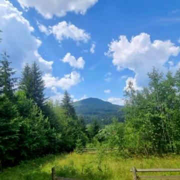 Міжгіря, Івано-Франківський, Івано-Франківська область 36000.0 USD