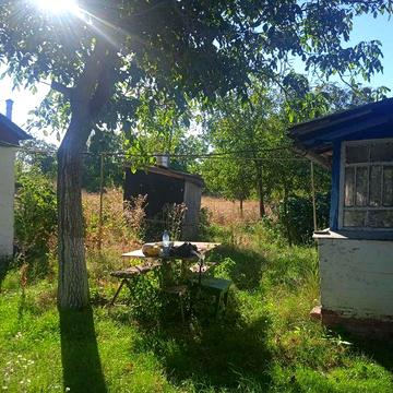Будинок у мальовничому селі Пії, Київська область, 90 км від Києва