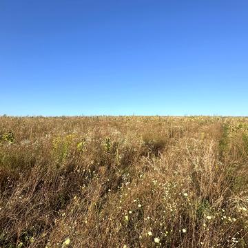 Гвоздів, Обухівський, Київська область 75000.0 USD