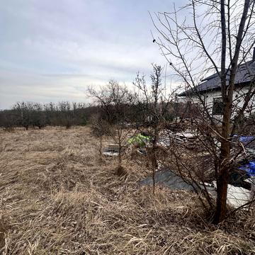 Креничі, Обухівський, Київська область 30000.0 USD