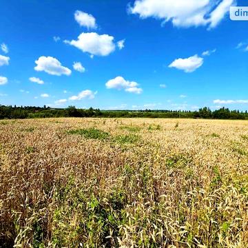 Продаж 1к Дім Лугова вулиця