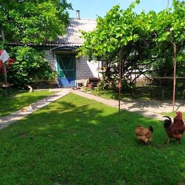 Продам дом село Пришиб