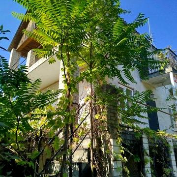 Дачний будинок в мальовничому місці поблизу Києва