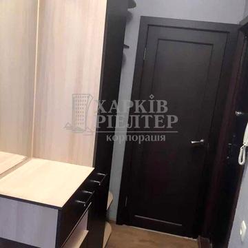 LS-56 1 комнатная квартира - Алексеевка, пр Победы