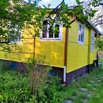 Дача, Ялинка. 6,4 соток.Нова электропровiдка, ган., насосна станцiя.