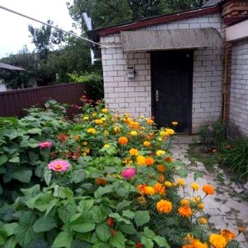 Оренда  від хозяйки без %