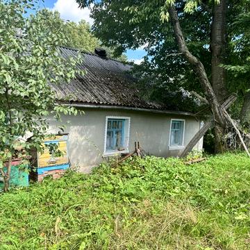 Невеликий будинок в Тернопільській обл. із земельною ділянкою.